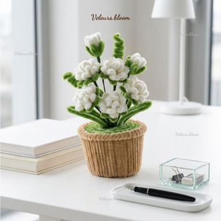 [HANDMADE] Chậu Hoa Nhài Kẽm Nhung Mini – Quà Tặng Thủ Công Dễ Thương Trang Trí Bàn Làm Việc