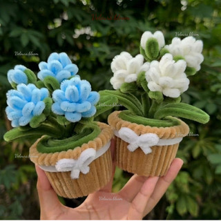 [HANDMADE] Chậu Hoa Nhài Kẽm Nhung Mini – Quà Tặng Thủ Công Dễ Thương Trang Trí Bàn Làm Việc
