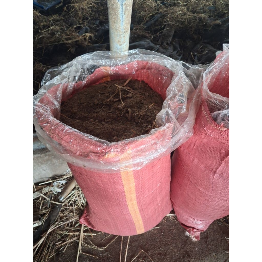 Combo 50 bao tải dứa 45×70