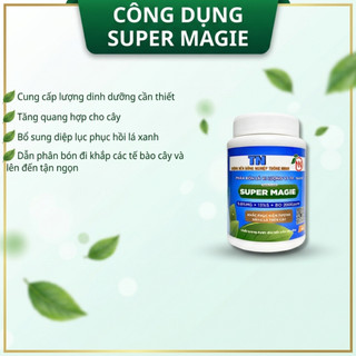 Super Magie Tám Ngọc Hũ 100g | Phân Bón Hoa Lan Ngừa Bệnh Vàng Lá Gân Xanh
