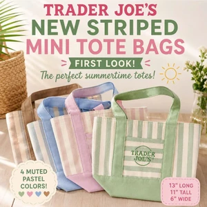 TÚI VẢI MINI TOTE TRADER JOE'S STRIPED HÀNG MÝ – PHIÊN BẢN HÈ GIỚI HẠN