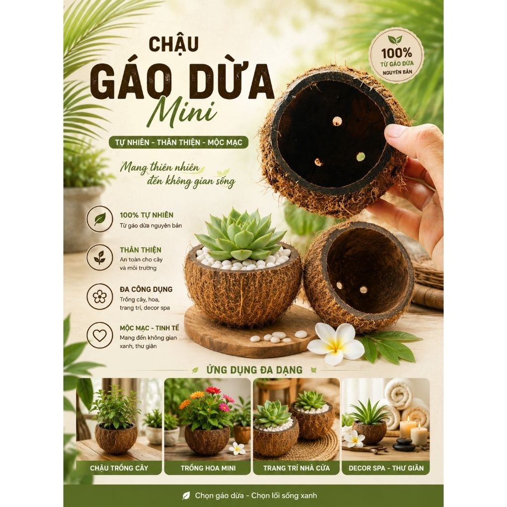 Gáo dừa thủ công thô mini - chậu hoa nhỏ, trồng cây mini, trang trí, decor