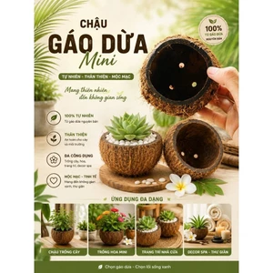 Gáo dừa thủ công thô mini - chậu hoa nhỏ, trồng cây mini, trang trí, decor