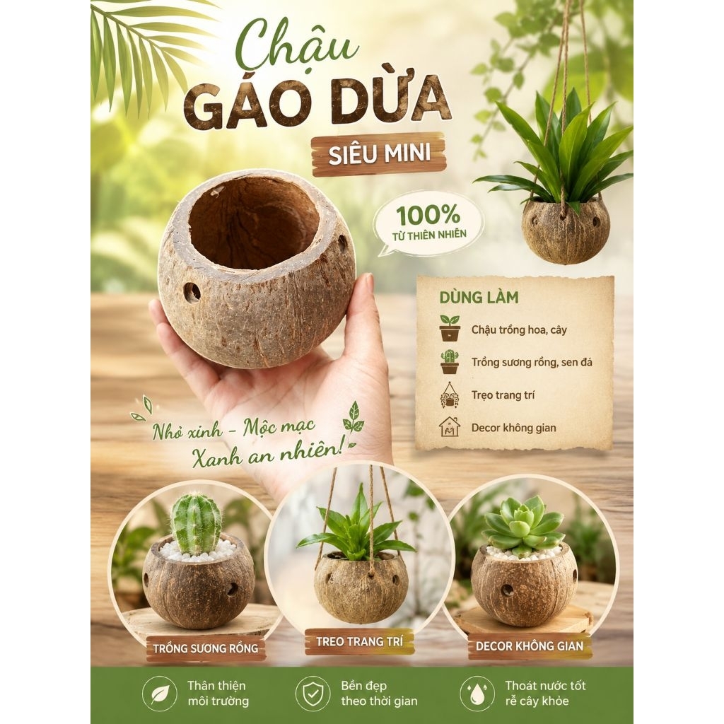 Chậu gáo dừa siêu mini | Dùng làm chậu cây, hoa mini, trang trí, decor thân thiện với môi trường
