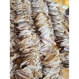 {500G-1Kg} Mực khô câu nhà làm đủ size 4-150con/kg bao ngon nhọt làm qùa tặng