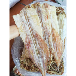 {500G-1Kg} Mực khô câu nhà làm đủ size 4-150con/kg bao ngon nhọt làm qùa tặng