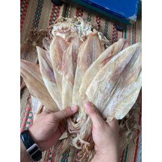 {500G-1Kg} Mực khô câu nhà làm đủ size 4-150con/kg bao ngon nhọt làm qùa tặng