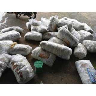 {500G-1Kg} Mực khô câu nhà làm đủ size 4-150con/kg bao ngon nhọt làm qùa tặng