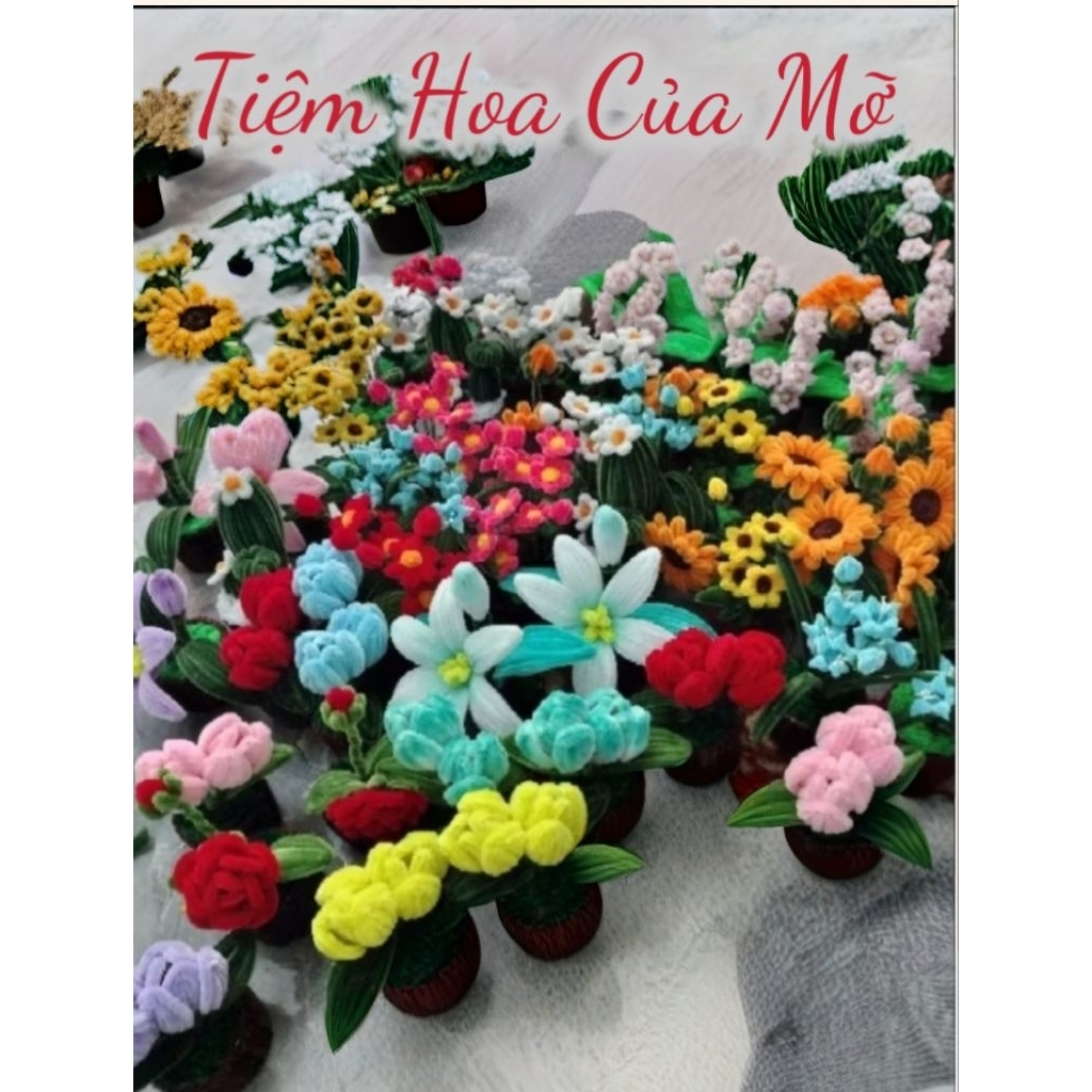 Chậu Hoa Kẽm Nhung Để Bàn , Quà Tặng Xinh Xắn,Kẽm Nhung Lọai 1