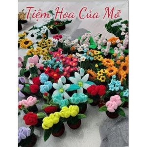 Chậu Hoa Kẽm Nhung Để Bàn , Quà Tặng Xinh Xắn,Kẽm Nhung Lọai 1