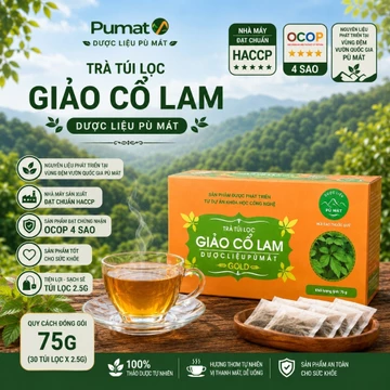 Giảo Cổ Lam Trà Túi Lọc Dược Liệu Pù Mát đạt chuẩn OCOP 4 sao