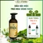 MYIN- DẦU GỘI MỘC TRÀ HOA VÀNG 500G- Hỗ Trợ Giảm Khô Xơ, Gãy Rụng-Làm Sạch Da Đầu - Tóc Mềm mượt bồng bềnh