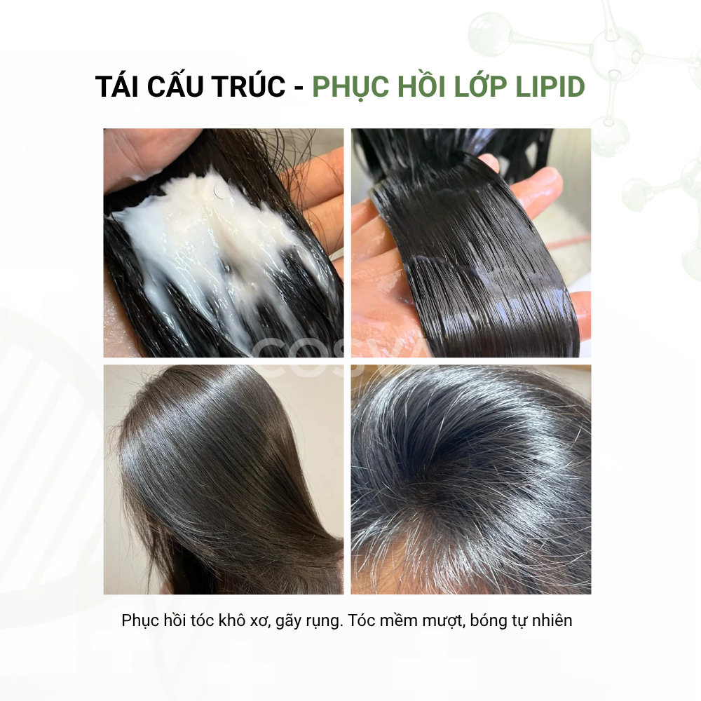 Dầu Xả Bưởi Macca Cosva 400ml Phục Hồi Tóc Hư Tổn Mềm Mượt Giảm Xơ Rối Tóc