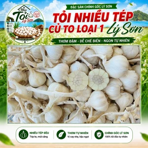 Tỏi Lý Sơn Nhiều Tép Củ To Loại 1 Chính Gốc Nhà Tỏi Lý Sơn 500g
