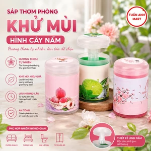 Combo 3 hộp Sáp thơm phòng khử mùi hình cây nấm