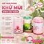 Combo 3 hộp Sáp thơm phòng khử mùi hình cây nấm