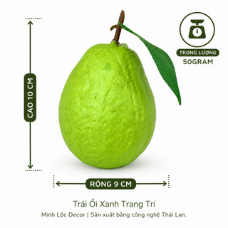 Trái Ổi Xanh trang trí | Trái Cây Nhựa foam, Trái Cây trang trí, Trái Cây Mô Hình