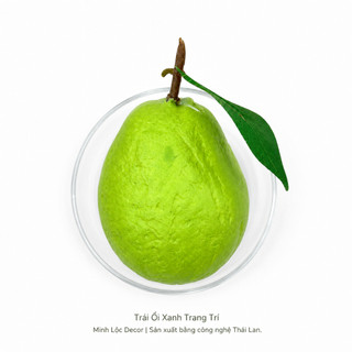 Trái Ổi Xanh trang trí | Trái Cây Nhựa foam, Trái Cây trang trí, Trái Cây Mô Hình