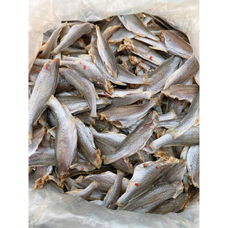 [ĐẶC SẢN] KHÔ CÁ ĐÙ ƯỚP MUỐI ỚT VỊ VỪA ĂN CƠM – THƠM NGON, ĐẬM ĐÀ, CHUẨN VỊ NHÀ LÀM