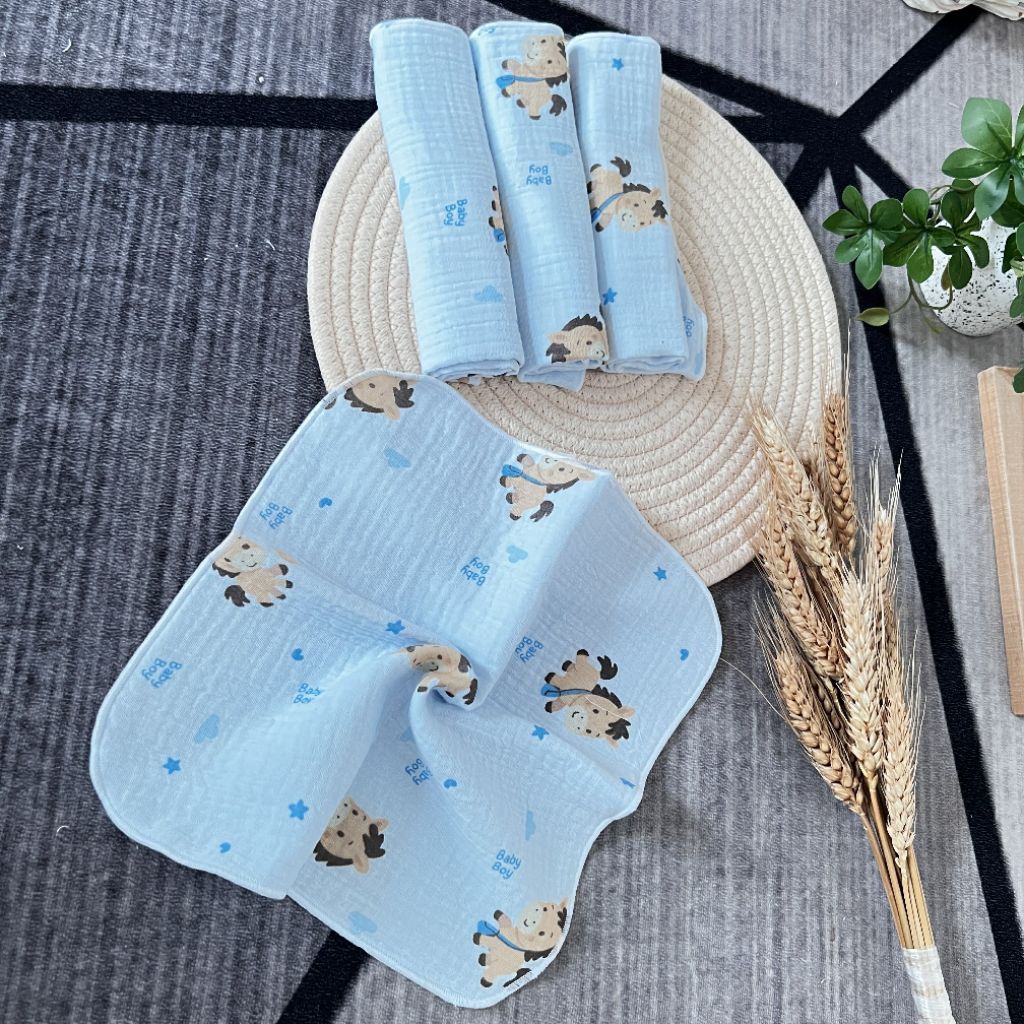 Set [10/20] Khăn Sữa Xô Muslin 2 Lớp Cho Bé Sơ Sinh An Nhi Baby - Kháng Khuẩn Tự Nhiên