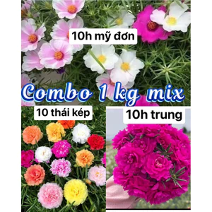 1kg hoa 10 mix hoa 10h trung , 10h thái kép , 10h mỹ đơn