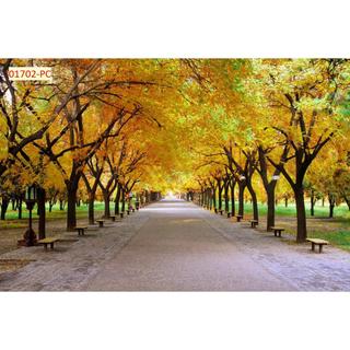 Tranh 3D Dán Tường Hàng Cây Khổ Lớn, dán phòng khách, phòng ăn