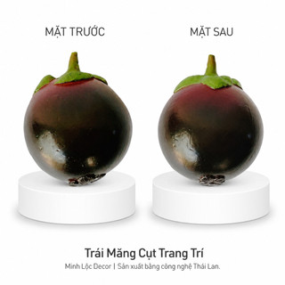 Trái Măng Cụt trang trí | Trái Cây Nhựa foam, Trái Cây trang trí, Trái Cây Mô Hình