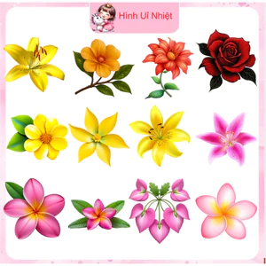 Hình in pét ủi nhiệt,mẫu hoa lá ủi tại nhà bằng bàn ủi