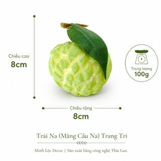 Trái Na (Mãng Cầu Na) | Trái Cây Nhựa foam, Trái Cây trang trí, Trái Cây Mô Hình