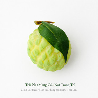 Trái Na (Mãng Cầu Na) | Trái Cây Nhựa foam, Trái Cây trang trí, Trái Cây Mô Hình
