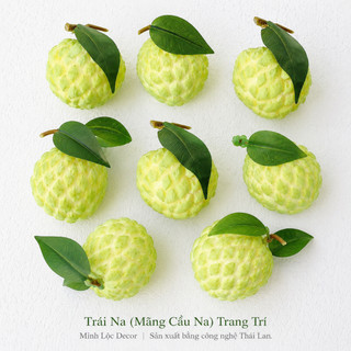 Trái Na (Mãng Cầu Na) | Trái Cây Nhựa foam, Trái Cây trang trí, Trái Cây Mô Hình