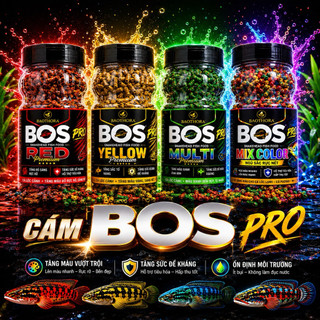 Cám BOS Pro  tăng màu Xanh - Đỏ - Vàng - Ngủ Sắc cho Cá Lóc cảnh  Hỗ Trợ Tăng Màu vượt trội