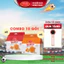 Combo 10 Bịch Bánh Richy trứng tươi Karo chà bông sợi gà, phô mai hoàng kim