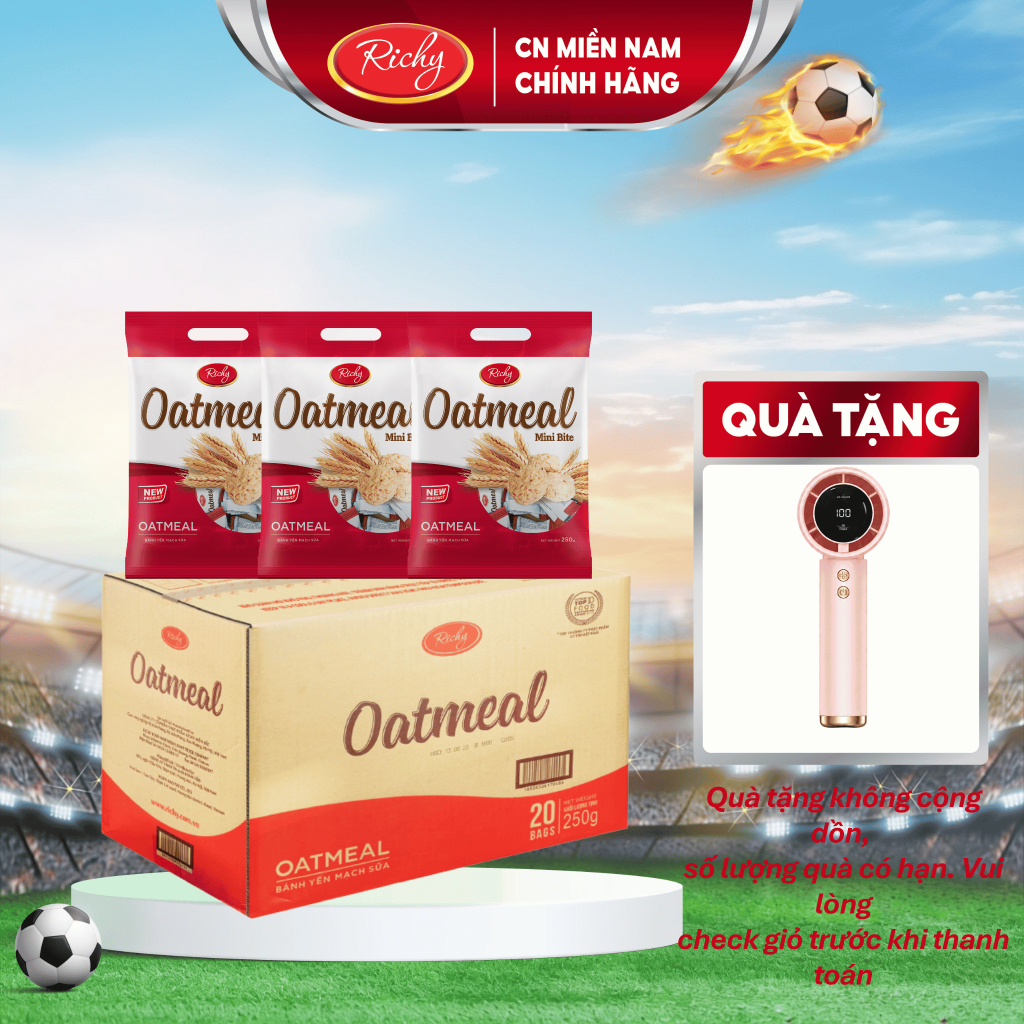 [TẶNG QUẠT MINI CẦM TAY] Thùng Bánh Yến Mạch Richy Mix vị (10 phô mai 10 sữa)