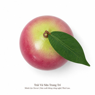 Trái Vú Sữa trang trí | Trái Cây Nhựa foam, Trái Cây trang trí, Trái Cây Mô Hình