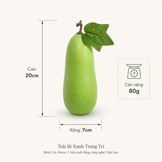Trái Bí Xanh trang trí (Bí Đao) Cao Cấp | Trái Cây Nhựa foam, Trái Cây trang trí, Trái Cây Mô Hình