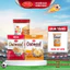Combo " ĂN VẶT VĂN PHÒNG" bánh yến mạch Oatmeal và bánh quy hành kem dẻo Kenju Richy