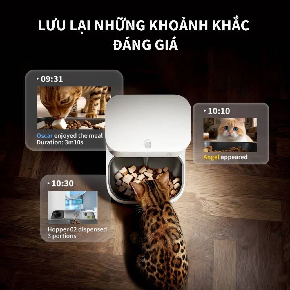 Máy Cho Chó Mèo Ăn Tự Động Có Camera Petkit YumShare Gemini 2 - 2 Ngăn, 5L - HeLiCorp