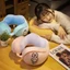 Gối đỡ cổ chống mỏi hình các nhân vật cute tiện lợi đi tàu xe MUN STORE GOISAN128