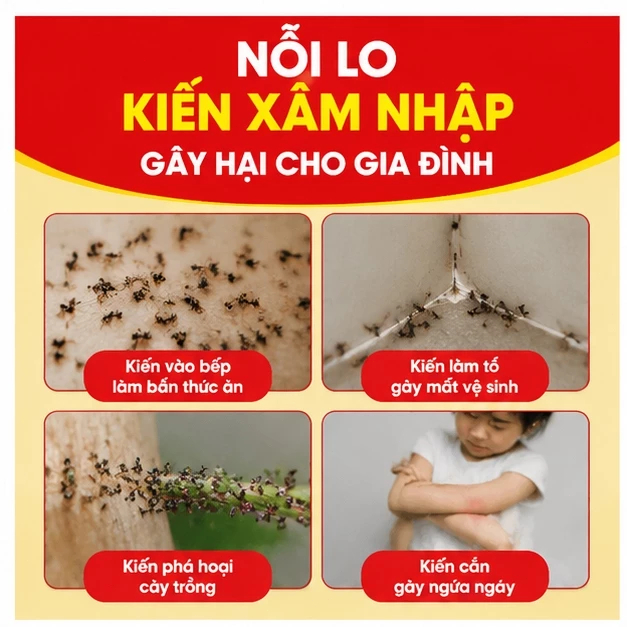 🐜Mồi diệt kiến 2in1🐜 Hộp 6 bẫy diệt kiến, tiêu diệt tổ kiến, đuổi kiến trong nhà, công thức đậm đặc, dễ sử dụng.