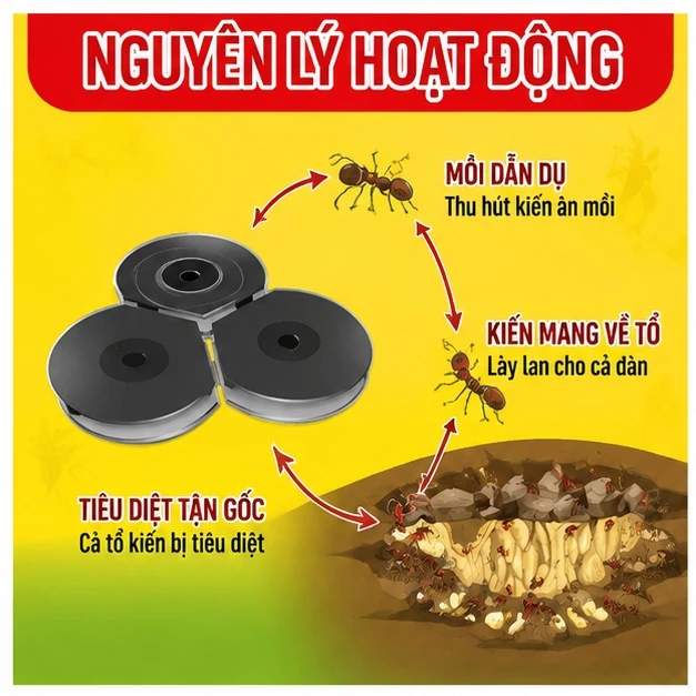 🐜Mồi diệt kiến 2in1🐜 Hộp 6 bẫy diệt kiến, tiêu diệt tổ kiến, đuổi kiến trong nhà, công thức đậm đặc, dễ sử dụng.