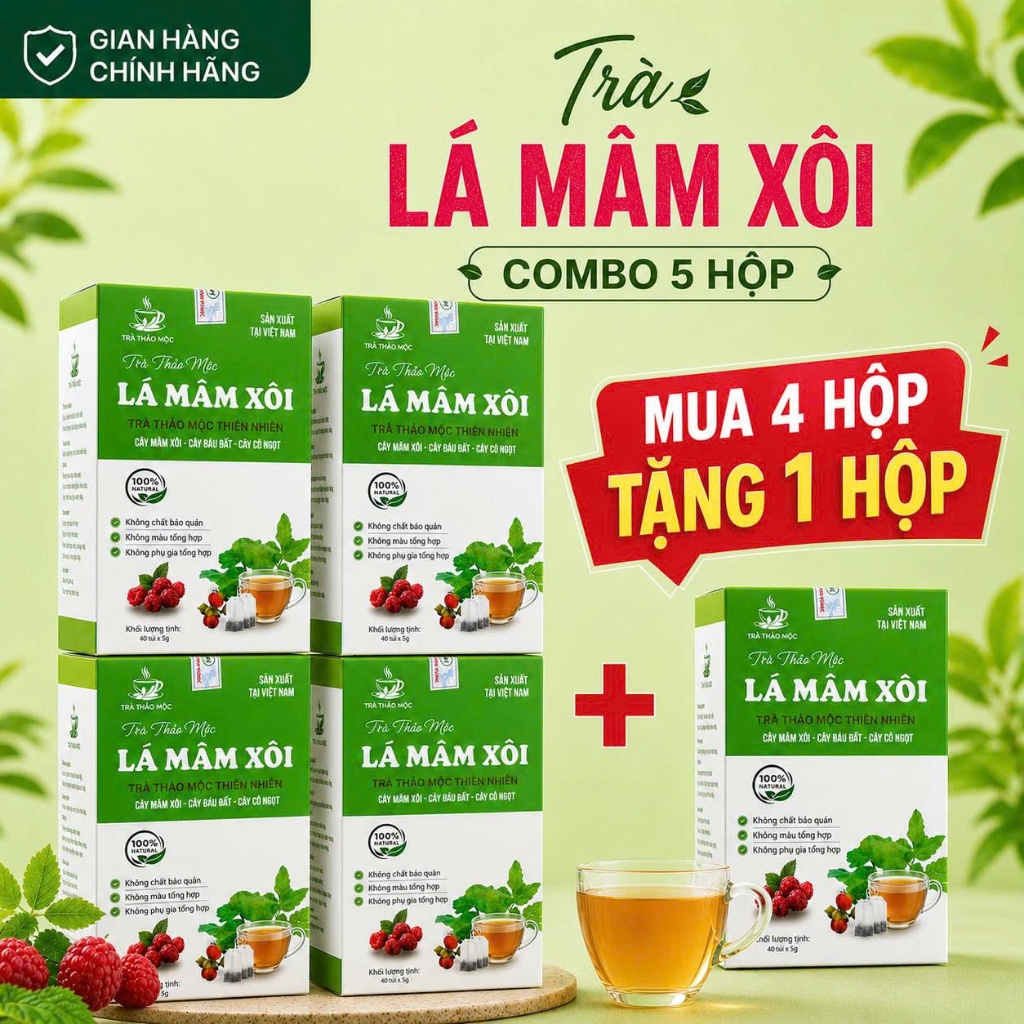 Trà Mâm Xôi Thảo Mộc Túi Lọc 40 Gói – Dễ Uống, Tiện Lợi