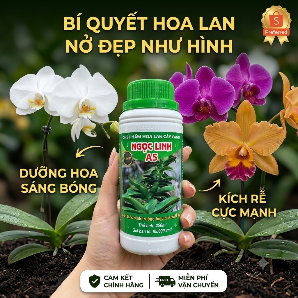 ✨ BỘ ĐÔI VÀNG A5 & A9 VIP NGỌC LINH – BÍ QUYẾT NUÔI CÂY KHỎE, LÁ XANH MƯỚT MẮT