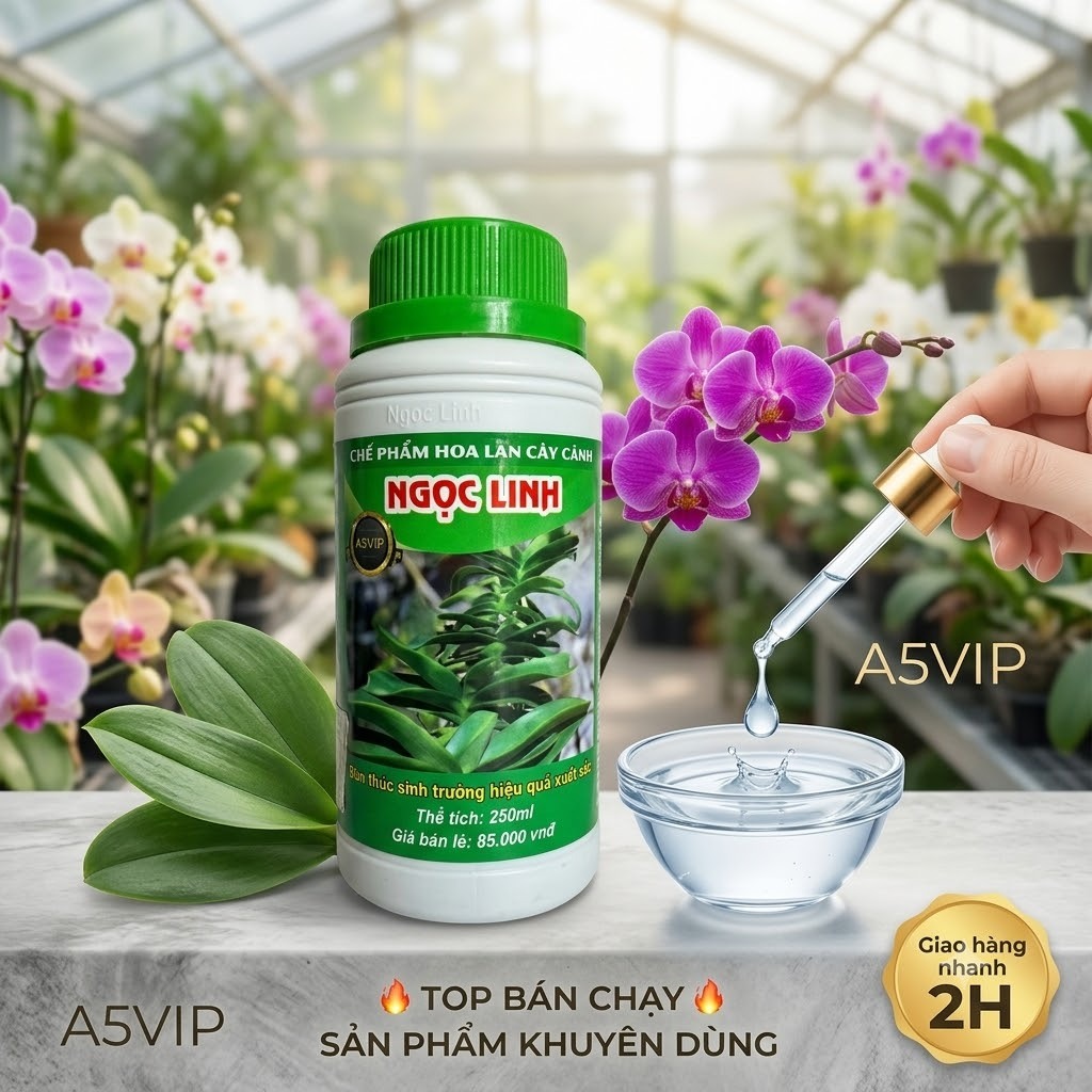 ✨ BỘ ĐÔI VÀNG A5 & A9 VIP NGỌC LINH – BÍ QUYẾT NUÔI CÂY KHỎE, LÁ XANH MƯỚT MẮT