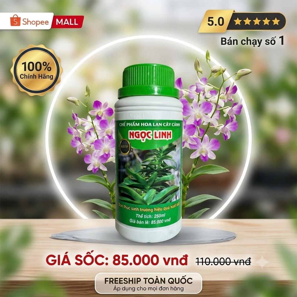 ✨ BỘ ĐÔI VÀNG A5 & A9 VIP NGỌC LINH – BÍ QUYẾT NUÔI CÂY KHỎE, LÁ XANH MƯỚT MẮT