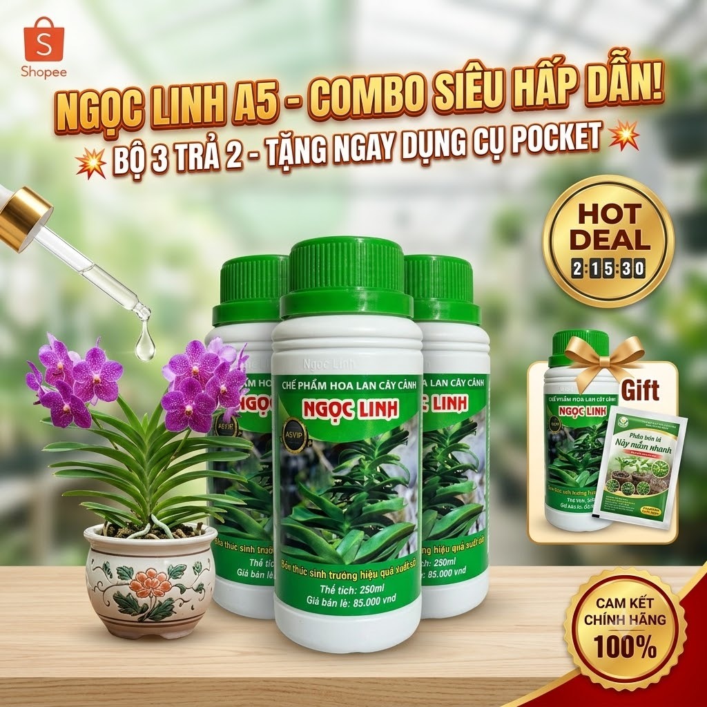 ✨ BỘ ĐÔI VÀNG A5 & A9 VIP NGỌC LINH – BÍ QUYẾT NUÔI CÂY KHỎE, LÁ XANH MƯỚT MẮT