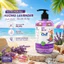 COMBO 2 CHAI NƯỚC RỬA TAY SẠCH KHUẨN ON1 - ON1 VIỆT NAM