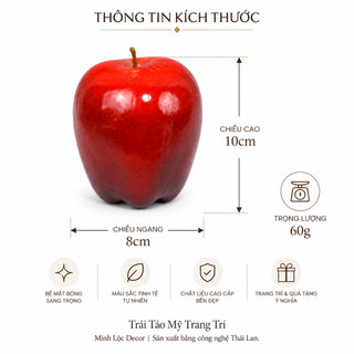 Trái Táo Mỹ trang trí | Trái Cây Nhựa foam, Trái Cây trang trí, Trái Cây Mô Hình