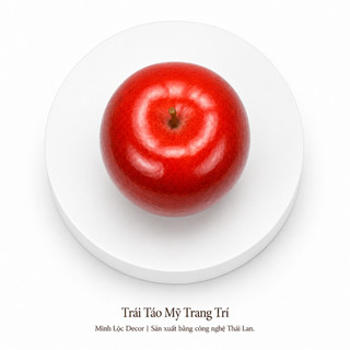 Trái Táo Mỹ trang trí | Trái Cây Nhựa foam, Trái Cây trang trí, Trái Cây Mô Hình