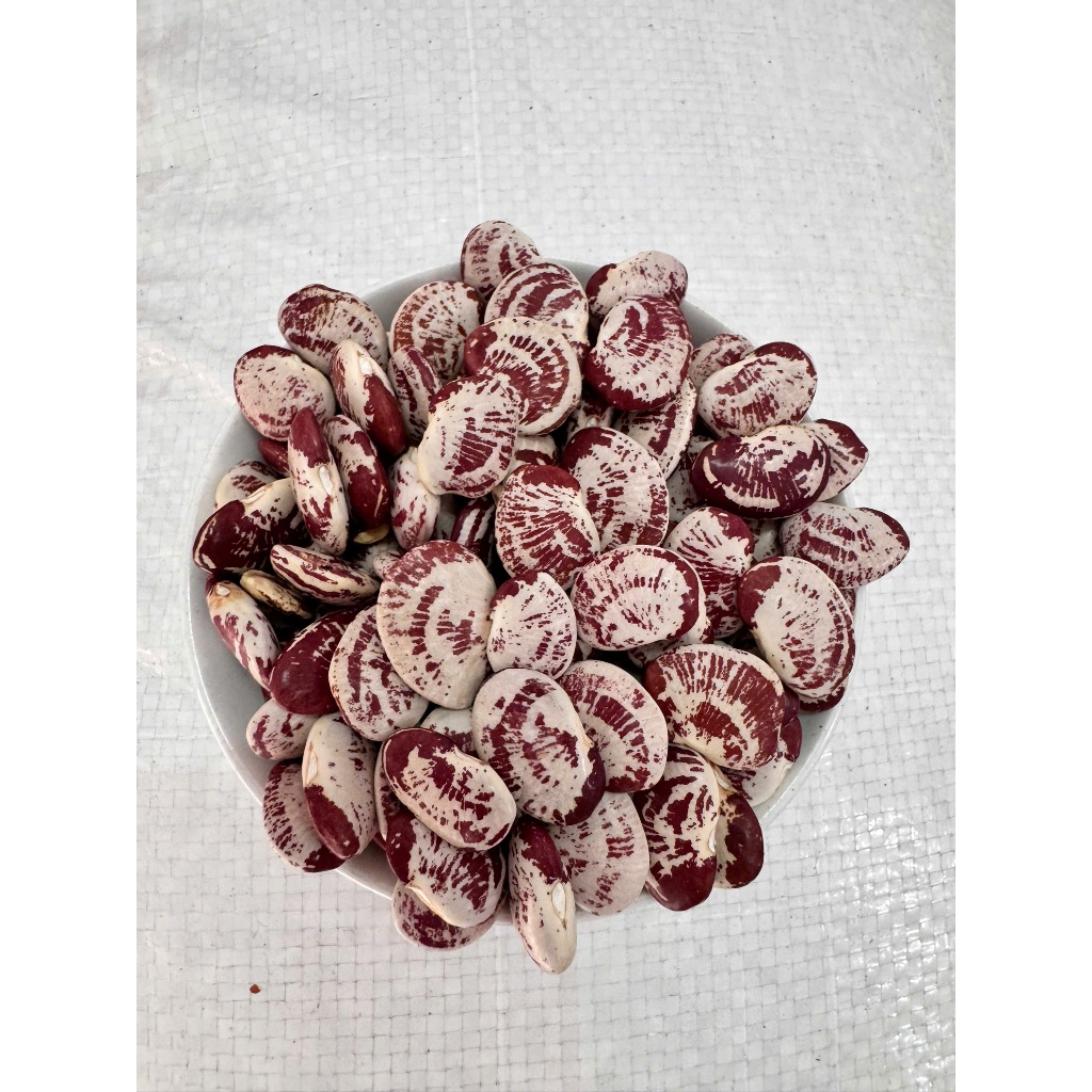 Đậu Ngự Loại 1 Hạt To Đều Thơm Bùi Nấu Chè Nấu Xôi Hầm Giò Heo Nguyên Liệu Làm Bánh